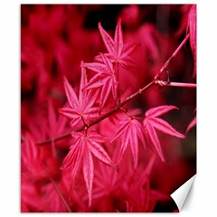 Red Autumn Canvas 8  x 10  (Unframed)