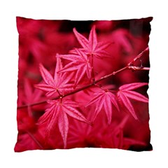 Red Autumn Cushion Case (one Side) by ADIStyle