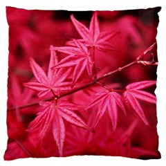 Red Autumn Large Cushion Case (Two Sides)