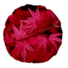 Red Autumn 18  Premium Round Cushion  by ADIStyle