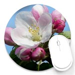 Apple Blossom  8  Mouse Pad (Round) Front