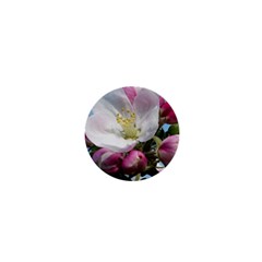 Apple Blossom  1  Mini Button by ADIStyle