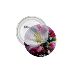 Apple Blossom  1 75  Button by ADIStyle