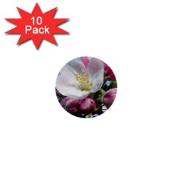 Apple Blossom  1  Mini Button (10 Pack) by ADIStyle