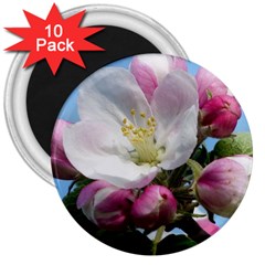 Apple Blossom  3  Button Magnet (10 Pack) by ADIStyle