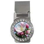 Apple Blossom  Money Clip (CZ) Front