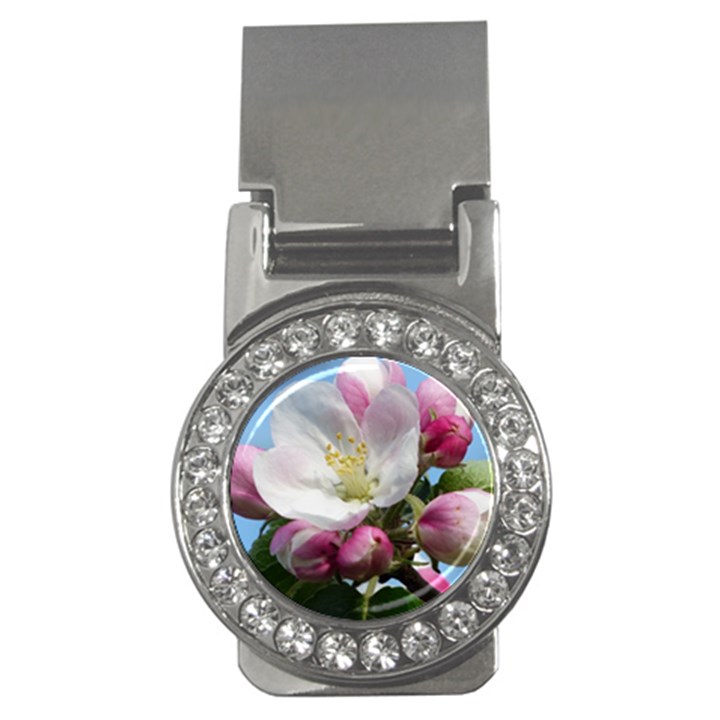 Apple Blossom  Money Clip (CZ)