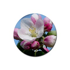 Apple Blossom  Drink Coaster (round) by ADIStyle