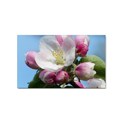 Apple Blossom  Sticker (Rectangle)