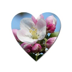 Apple Blossom  Magnet (heart) by ADIStyle