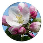 Apple Blossom  Magnet 5  (Round) Front