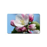 Apple Blossom  Magnet (Name Card) Front