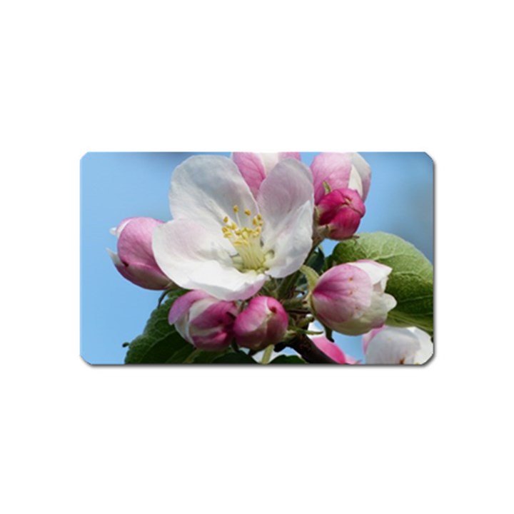 Apple Blossom  Magnet (Name Card)