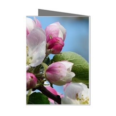 Apple Blossom  Mini Greeting Card (8 Pack)