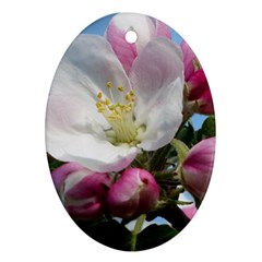 Apple Blossom  Oval Ornament (two Sides) by ADIStyle