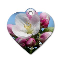 Apple Blossom  Dog Tag Heart (two Sided) by ADIStyle