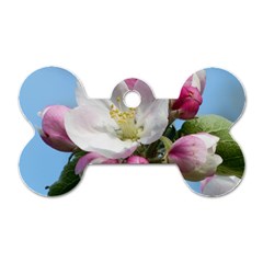 Apple Blossom  Dog Tag Bone (one Sided)