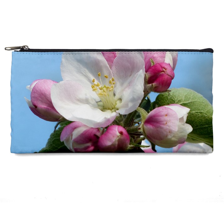 Apple Blossom  Pencil Case