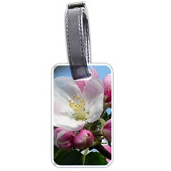 Apple Blossom  Luggage Tag (one Side) by ADIStyle