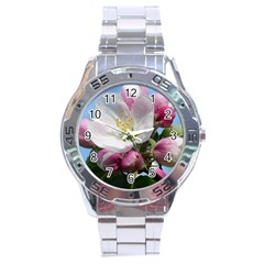 Apple Blossom  Stainless Steel Watch (Men s)