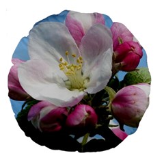 Apple Blossom  18  Premium Round Cushion 