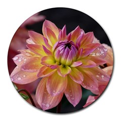 Dahlia Garden  8  Mouse Pad (round) by ADIStyle