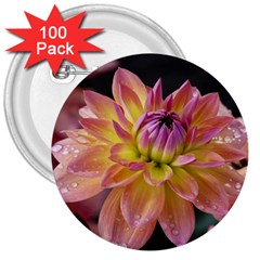 Dahlia Garden  3  Button (100 Pack) by ADIStyle