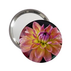 Dahlia Garden  Handbag Mirror (2 25 )