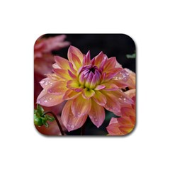 Dahlia Garden  Drink Coaster (square) by ADIStyle