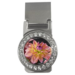 Dahlia Garden  Money Clip (cz)