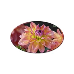 Dahlia Garden  Sticker (oval) by ADIStyle