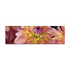 Dahlia Garden  Bumper Sticker by ADIStyle