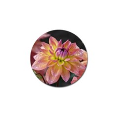 Dahlia Garden  Golf Ball Marker by ADIStyle