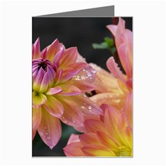 Dahlia Garden  Greeting Card by ADIStyle