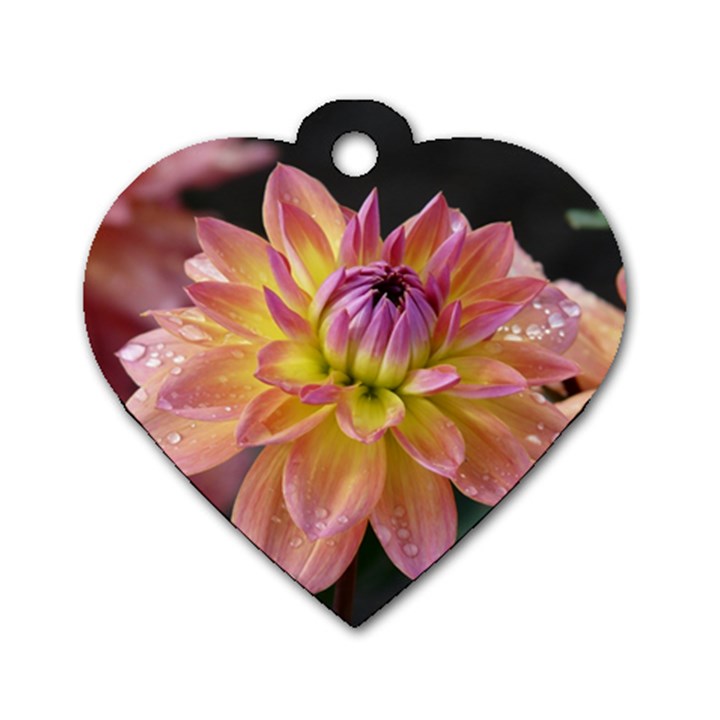 Dahlia Garden  Dog Tag Heart (Two Sided)