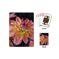 Dahlia Garden  Playing Cards (mini)