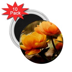 Flowers Butterfly 2.25  Button Magnet (10 pack)