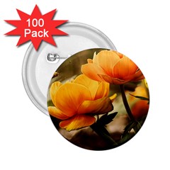 Flowers Butterfly 2.25  Button (100 pack)