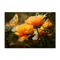 Flowers Butterfly A4 Sticker 100 Pack