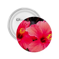 Red Hibiscus 2 25  Button by ADIStyle