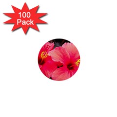 Red Hibiscus 1  Mini Button (100 Pack)