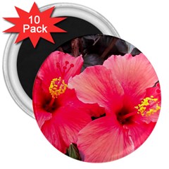 Red Hibiscus 3  Button Magnet (10 Pack) by ADIStyle