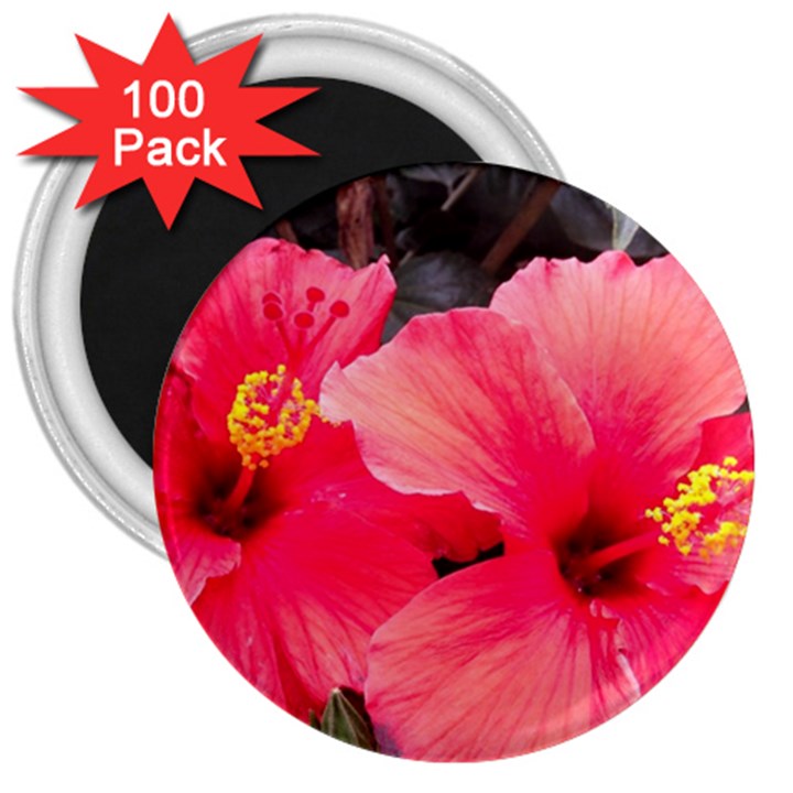 Red Hibiscus 3  Button Magnet (100 pack)