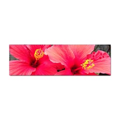 Red Hibiscus Bumper Sticker 10 Pack by ADIStyle