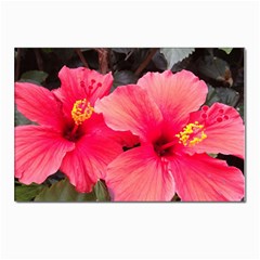 Red Hibiscus Postcards 5  X 7  (10 Pack) by ADIStyle