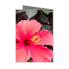 Red Hibiscus Mini Greeting Card (8 Pack)