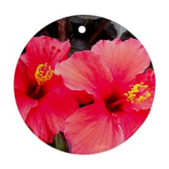 Red Hibiscus Round Ornament (two Sides) by ADIStyle