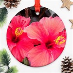 Red Hibiscus Round Ornament (Two Sides) Front