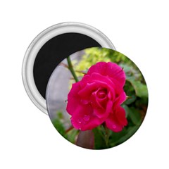 Pink Flower 2 25  Button Magnet by Contest1696491