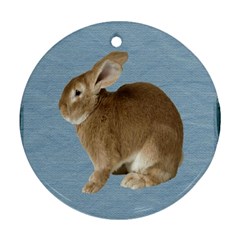 Cute Bunny Round Ornament by mysticalimages